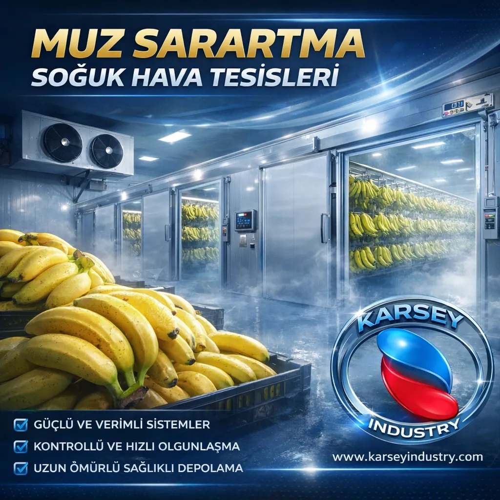 Muz Sarartma Soğuk Hava Tesisleri | Profesyonel Ripening Sistemleri